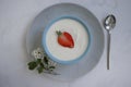 Fresh strawberry yogurt natural dessert diet freshness a light background rustic