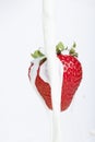 Fresh strawbery on white background