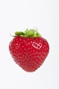 Fresh strawbery on white background