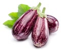 Fresh striped aubergines or eggplants with leaf and slices isolated on white background