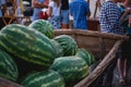 Fresh striped big watermelons in the market