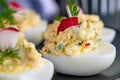 Fresh stuffed eggs on plate close up Royalty Free Stock Photo