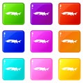 Fresh sturgeon fish icons 9 set