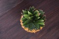 Fresh stylish Pineapple being seen from a the top on a brown wooden table. Tropical ripe pineapple seen from above