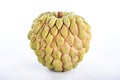 Fresh sugar apple fruitCustard Apple,sweetsop