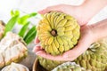 Fresh sugar apple fruitCustard Apple,sweetsop on wooden table