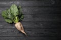 Fresh sugar beet with leaves on black wooden table, top view. Space for text Royalty Free Stock Photo