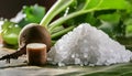 Fresh Sugar Beet Root and White Sugar Crystals Royalty Free Stock Photo