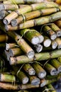 Fresh Sugar Cane