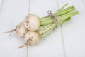 Fresh sugar white beet with stems, isolated on white background Royalty Free Stock Photo