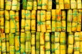 Fresh Sugarcane Piles