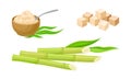 Fresh sugarcane stalks and cane sugar natural organic food set vector illustration