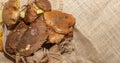 Fresh Suillus mushrooms on burlap Royalty Free Stock Photo