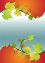 Fresh summer or autumn vector background with leaves