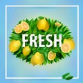 Fresh summer banner Royalty Free Stock Photo