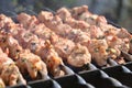 Summer barbecue cooking over a hot fire on skewers Royalty Free Stock Photo