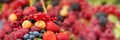 Fresh summer berries assortment panorama. Healthy fruit web banner