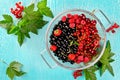 Fresh summer berries in a basket on turquoise background Royalty Free Stock Photo