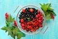 Fresh summer berries in a basket on turquoise background Royalty Free Stock Photo