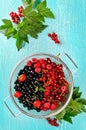 Fresh summer berries in a basket on turquoise background Royalty Free Stock Photo