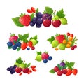 Fresh summer berries. Strawberry, blackberry, blueberry, cherry, raspberry cartoon vector set Royalty Free Stock Photo