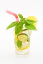 Fresh summer cocktail with lemon and limette slices, ice and basil leaves on a lighted background with red straw