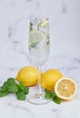 Fresh summer cocktail with lemons, mint and ice, selective focus image, Mojito in a glass cup, Fresh citrus lemonade with limes Royalty Free Stock Photo