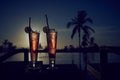 Fresh summer cold alcoholic drinks exotic cocktails. Royalty Free Stock Photo