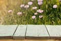 Fresh summer flowers, grass and sunlight, and wooden flooring. Royalty Free Stock Photo