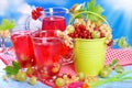 Fresh summer fruit compote Royalty Free Stock Photo