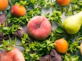 Fresh summer fruit concept still life Royalty Free Stock Photo