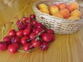 Fresh summer fruits on light wooden table . Apricots in a wicker basket and cherries on wooden background Royalty Free Stock Photo