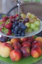 Fresh summer fruits. Organic and natural fruit on tray. Fresh grapes, cheaches, plums and strawberry. Healthy eating. Royalty Free Stock Photo