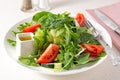 Fresh summer garden salad in a white plate Royalty Free Stock Photo