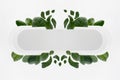 Fresh summer geometric abstract figure of white rounded horizontal rectangle form as stripe or pad with flying tropical green.