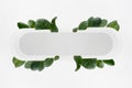 Fresh summer geometric abstract figure of white rounded horizontal rectangle form as stripe or pad with tropical green leaves.