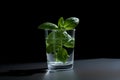 Fresh summer green basil cocktail in a glass on dark background. Diet drink.