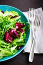 Fresh summer green salad mix on a wooden table Royalty Free Stock Photo