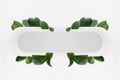 Fresh summer holiday abstract symmetric figure of white rounded horizontal rectangle stripe with tropical green leaves, blank.