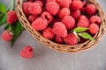 Fresh summer raspberry in a basket. Selective focus. Royalty Free Stock Photo