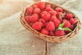 Fresh summer raspberry in a basket. Selective focus. Royalty Free Stock Photo