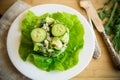 fresh summer salad with beans, rice, cucumbers and other vegetables in a plate Royalty Free Stock Photo