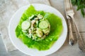 fresh summer salad with beans, rice, cucumbers and other vegetables in a plate Royalty Free Stock Photo