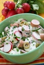 Fresh summer salad with frankfurter sausage Royalty Free Stock Photo