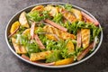 Fresh summer salad of grilled chicken, rhubarb, lettuce, onions and oranges close-up on a plate. horizontal