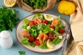 Fresh summer salad with smoked salmon, lettuce, cherry tomato and olives Royalty Free Stock Photo