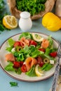 Fresh summer salad with smoked salmon, lettuce, cherry tomato and olives Royalty Free Stock Photo