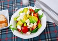 Fresh summer salad with vegetables and cheese Royalty Free Stock Photo