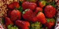 Fresh summer Strawberries drain in collander Royalty Free Stock Photo