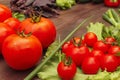 Fresh summer tomatoes and greens on wooden table